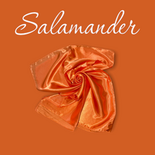 Load image into Gallery viewer, Satin Scarf