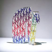 Load image into Gallery viewer, DIOR: RAINBOW
